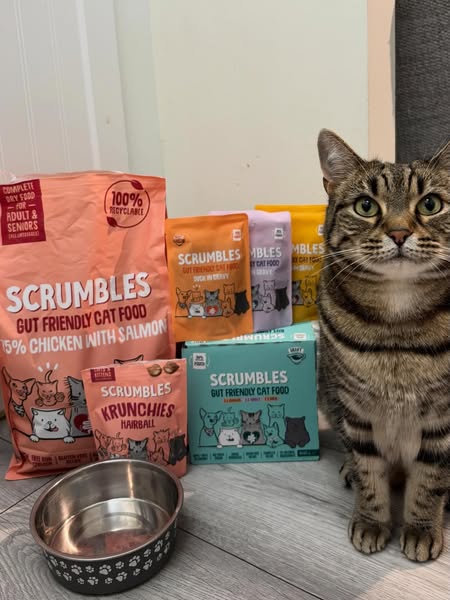 Gut-Friendly Cat Food | Scrumbles