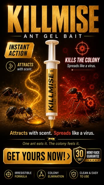 4.8 | 45,000+ Homes Protected One Solution. Zero Ants. Kills the Nest. Not Just What You See.