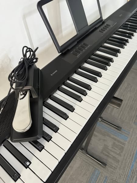 Tragbares Digitalpiano