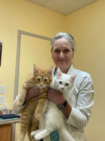 Why World Record Cats Live To 27