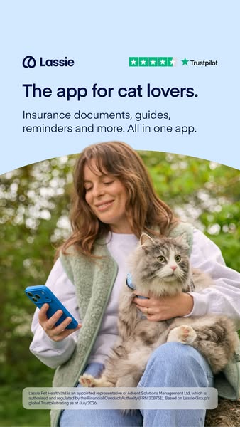 Insure your cat today