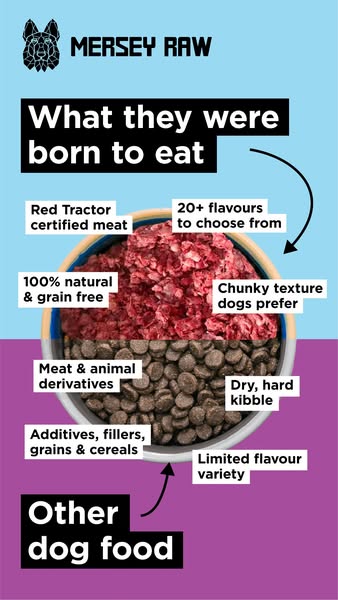 Raw Dog Food