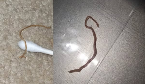 Ripristina il Tuo Corpo. Sentiti Meglio Oggi.