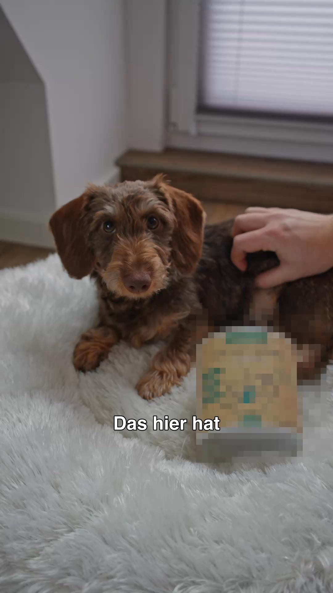 Mit Tierärzten sorgfältig entwickelt!