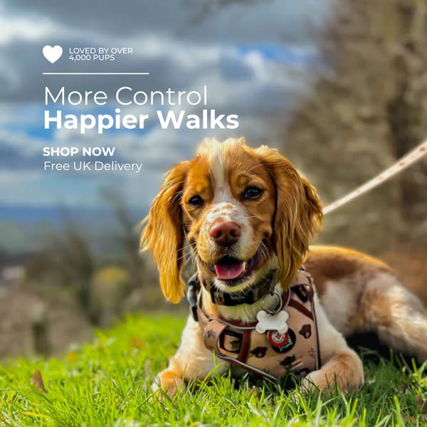 More control. Happier walks.