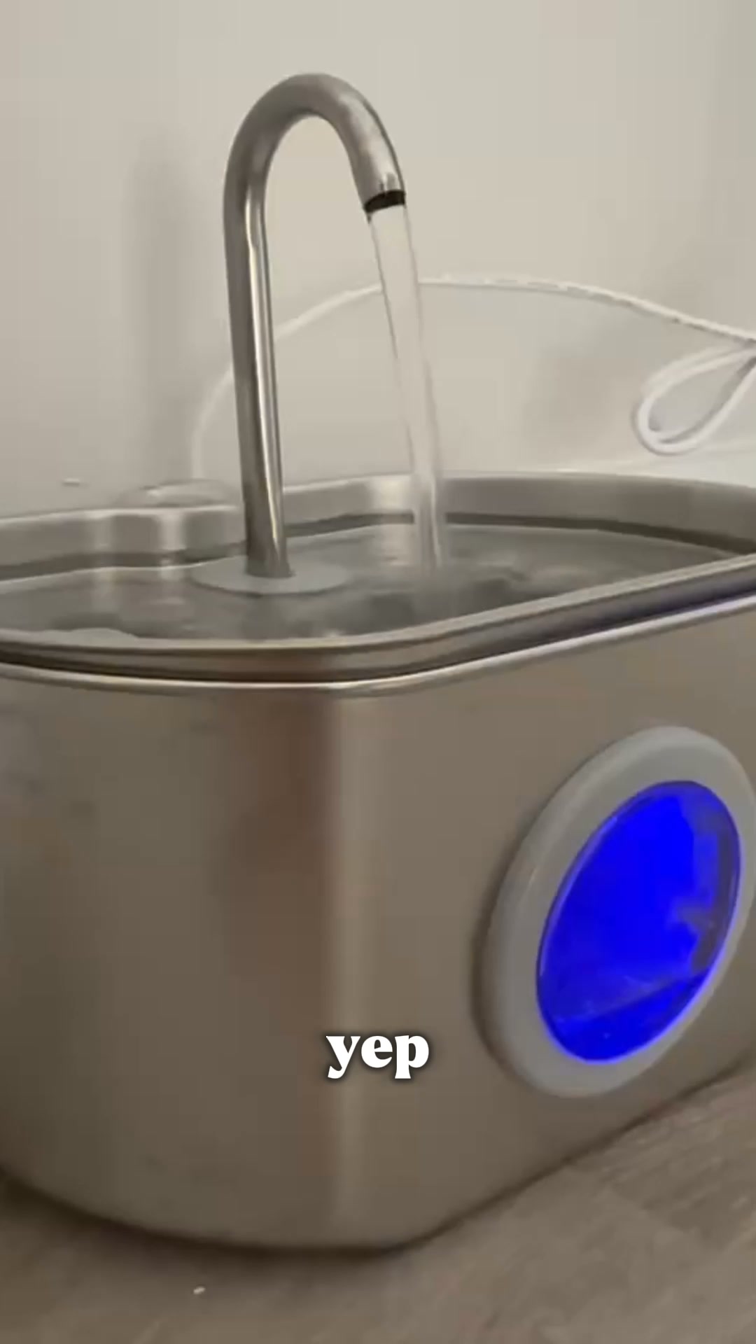 Help Your Cat Drink More