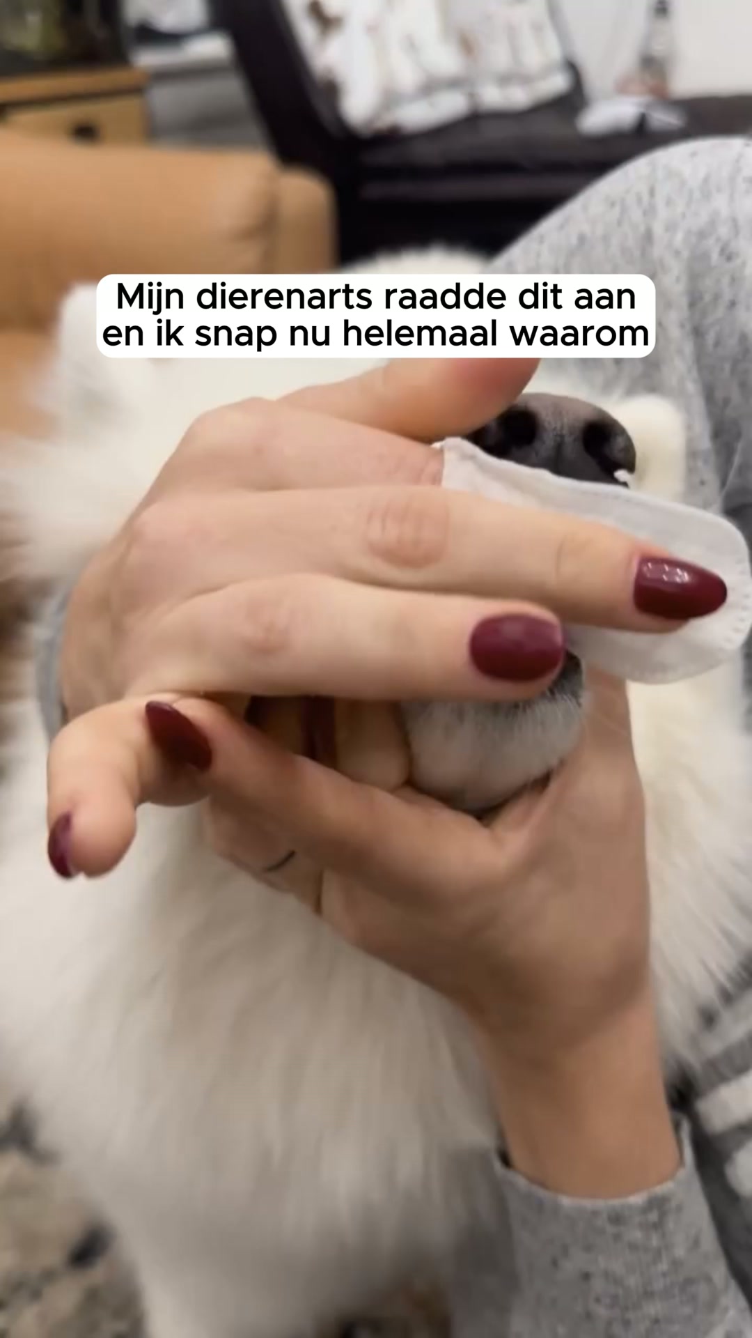 Geen tandenpoetsen. Geen stress. Gewoon gezondere tanden.