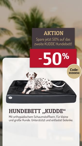 Jetzt sparen beim Kauf von zwei KUDDE