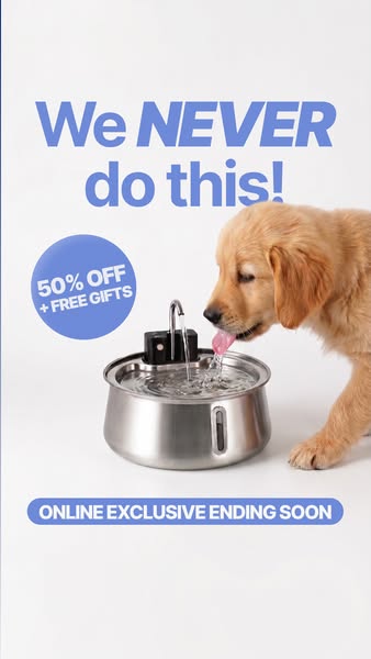 #1 Rated Dog Fountain