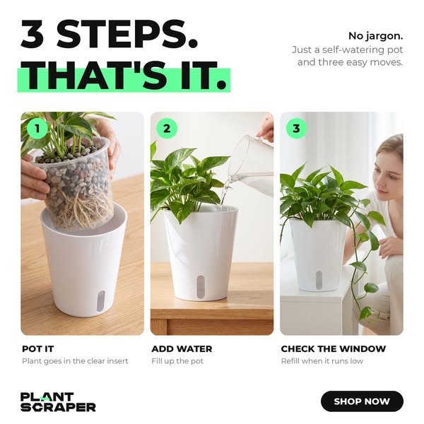 3 steps. That's it