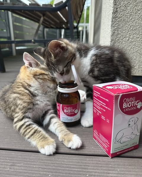 Anúncio de OMNi-BiOTiC CAT & DOG