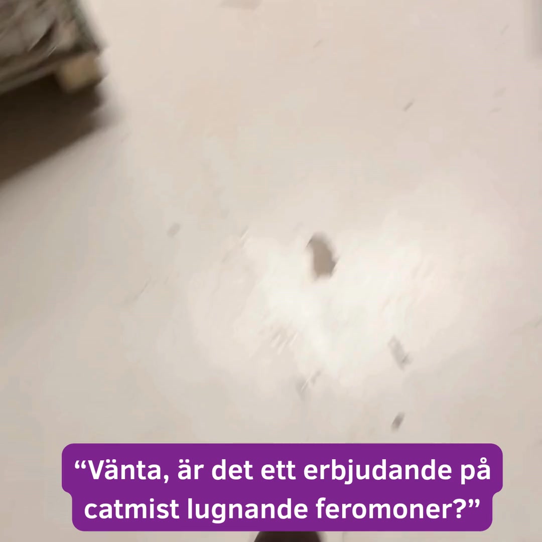 Anúncio de Catmist