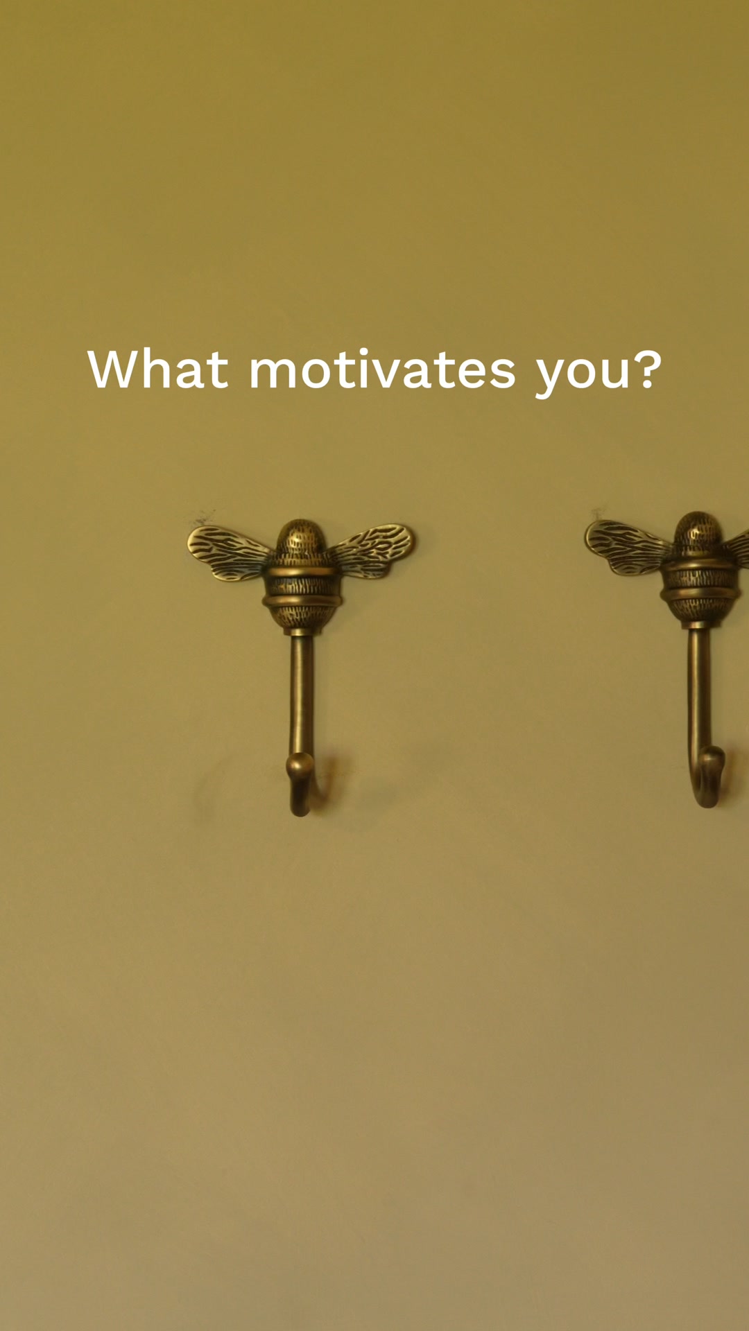 See What Drives Brass Bee