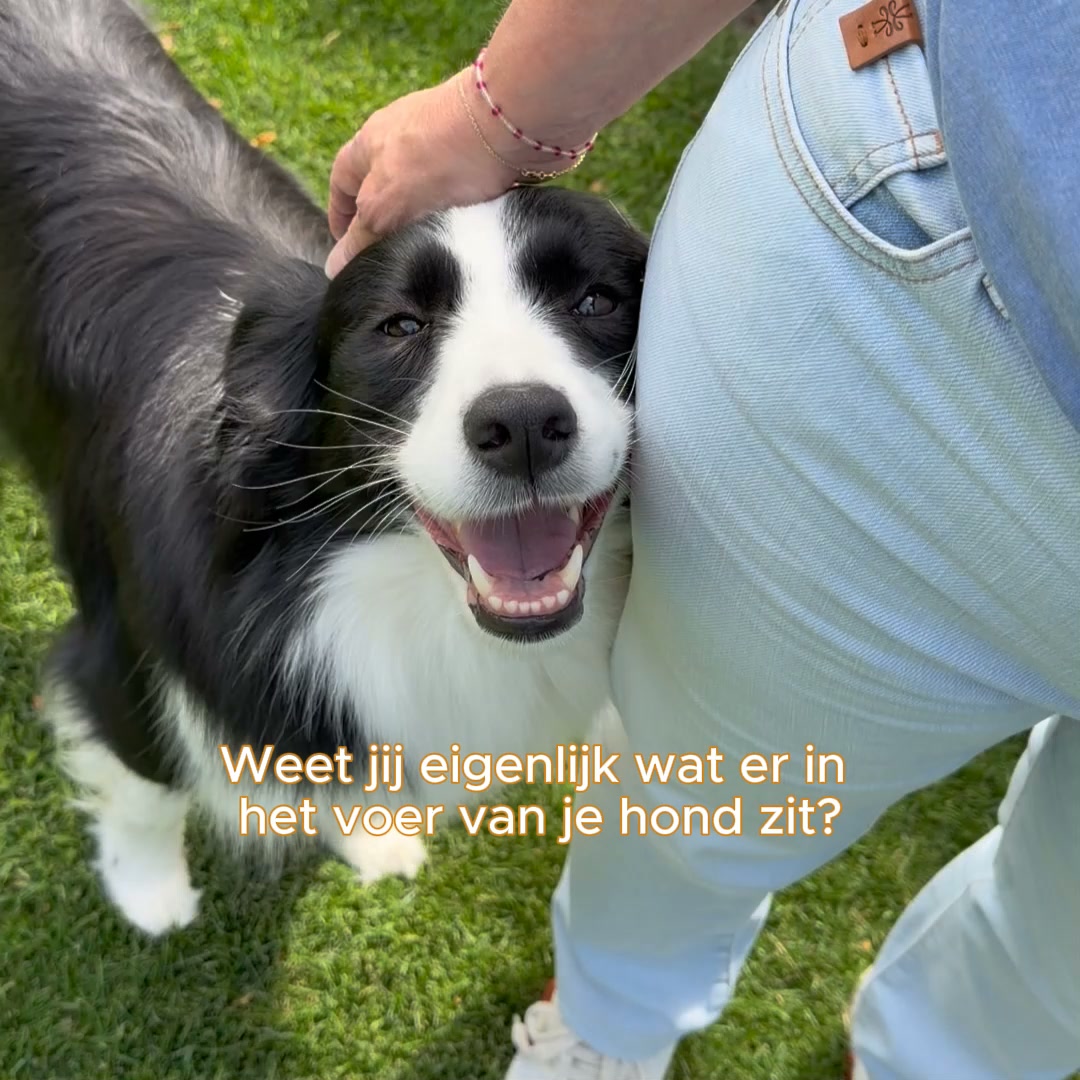 Neem een kijkje in de webshop