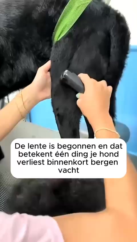 Weer je bank vol haren? Dit is de oplossing.