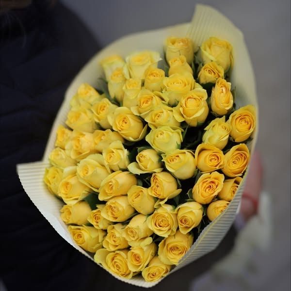 Roses24.fi