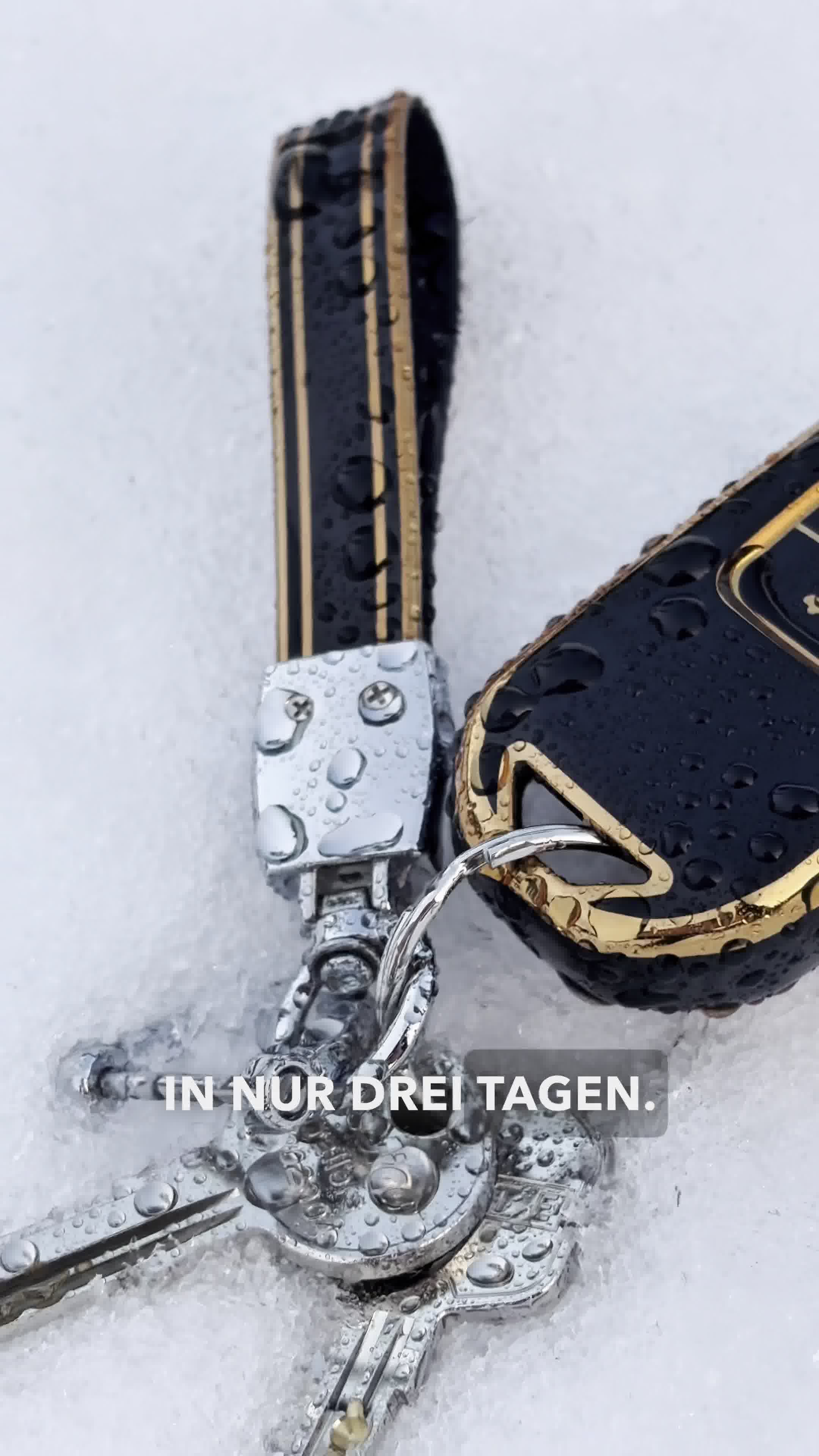 Autoschlüssel-Hüllen. Kostenloser Versand in 3-6 Tagen.