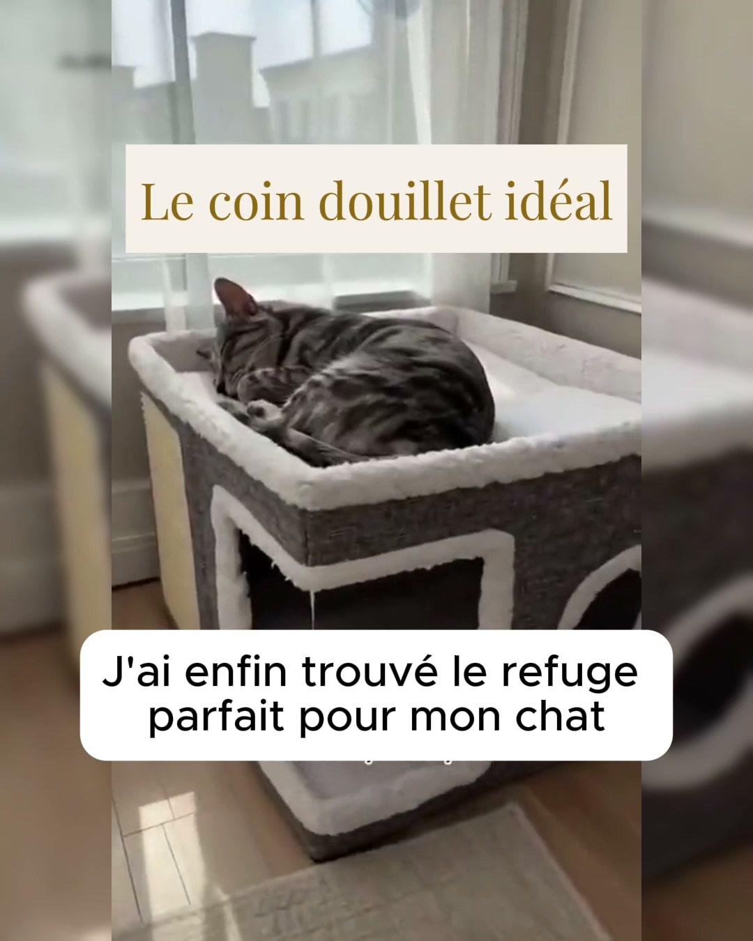 Maison Cocon 2-en-1 pour Chat