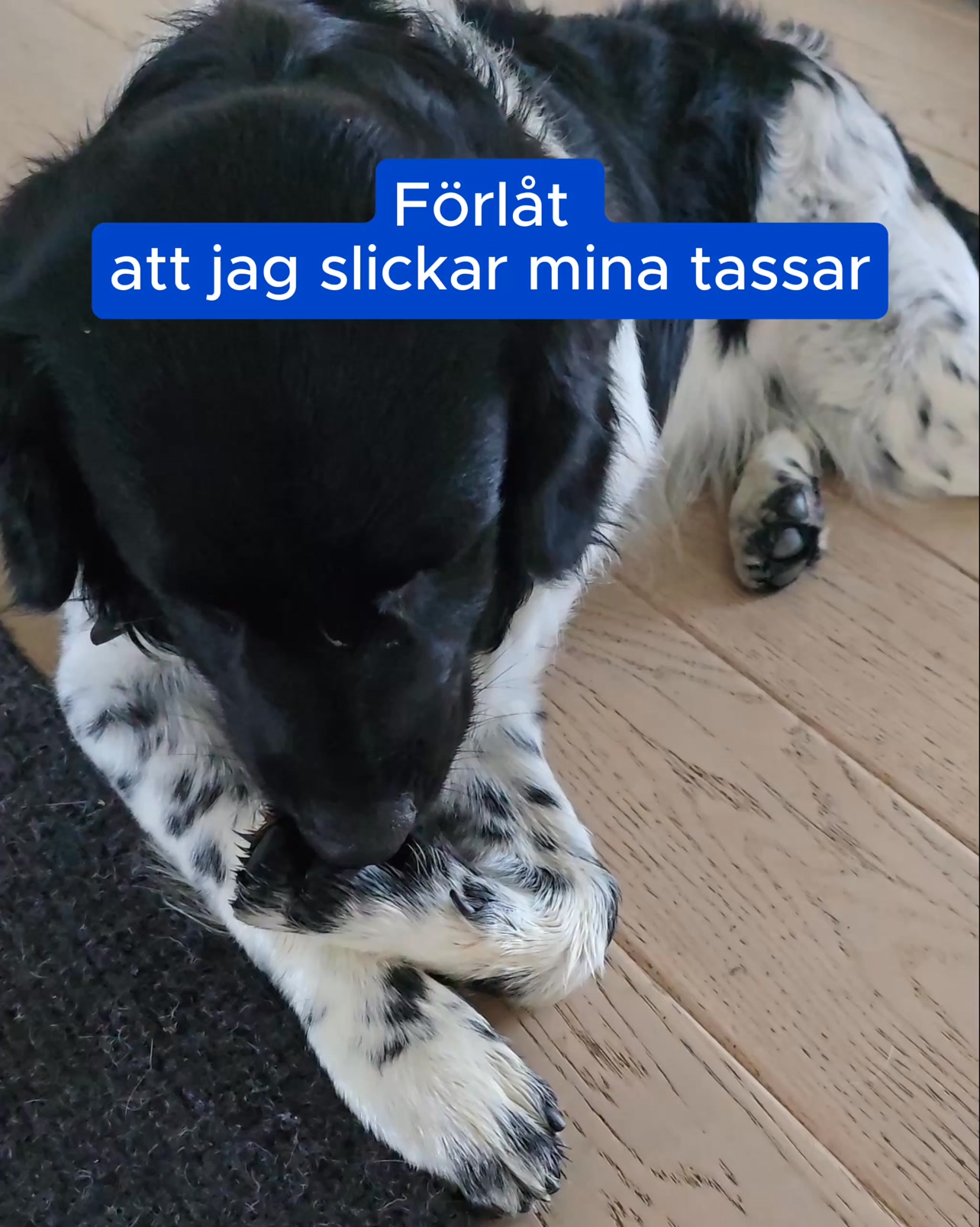 Om Du Känner Igen Några Av Dessa Tecken, Så Prova Dessa Effektiva Godbitar