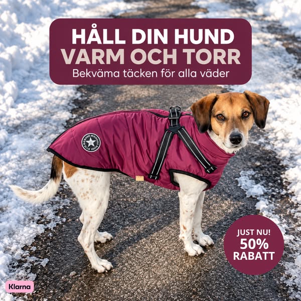 Jacka + sele i ett – nu halva priset!