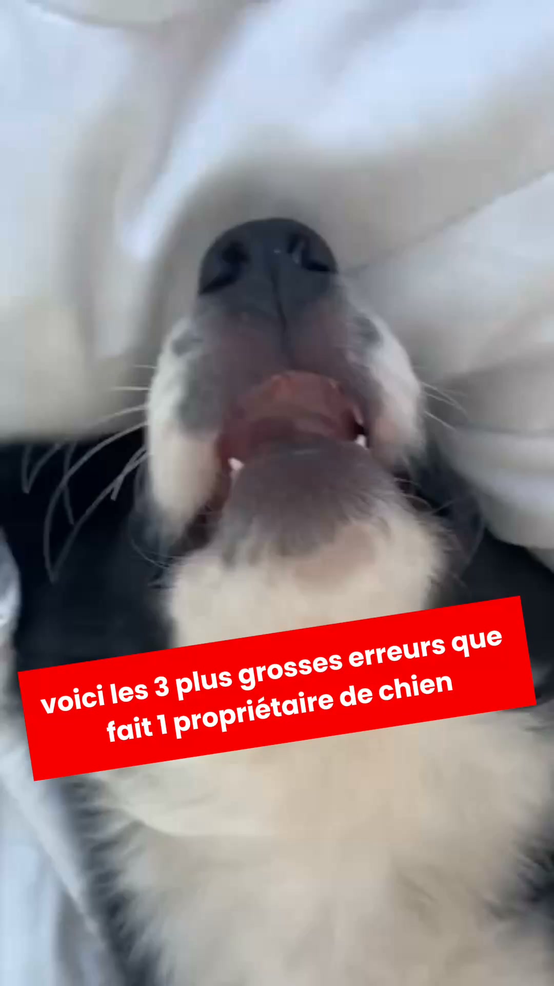 2 ACHETÉS = 1 OFFERT — Durée limitée