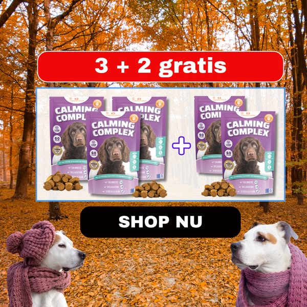 3+2 Gratis!
