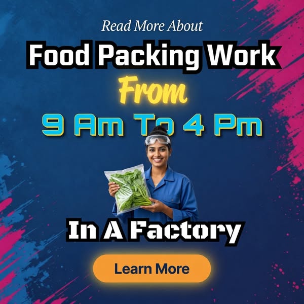 Understanding Food Packing Work - A Guide