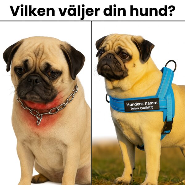Hundsele med antidrag
