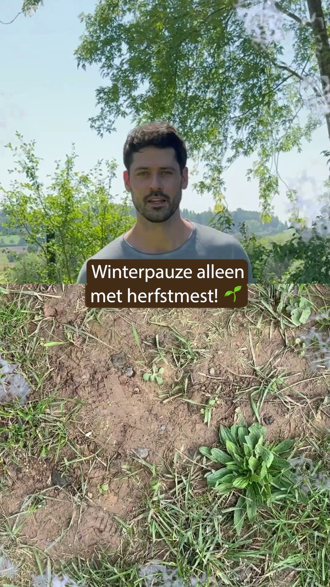 Je gazon redden na de zomer