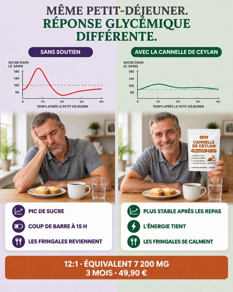 Cannelle de Ceylan — équivalent 7 200 mg, avec huile MCT