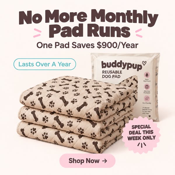 Protect your floors, enjoy your pup-Buy 3, Get 3 FREE