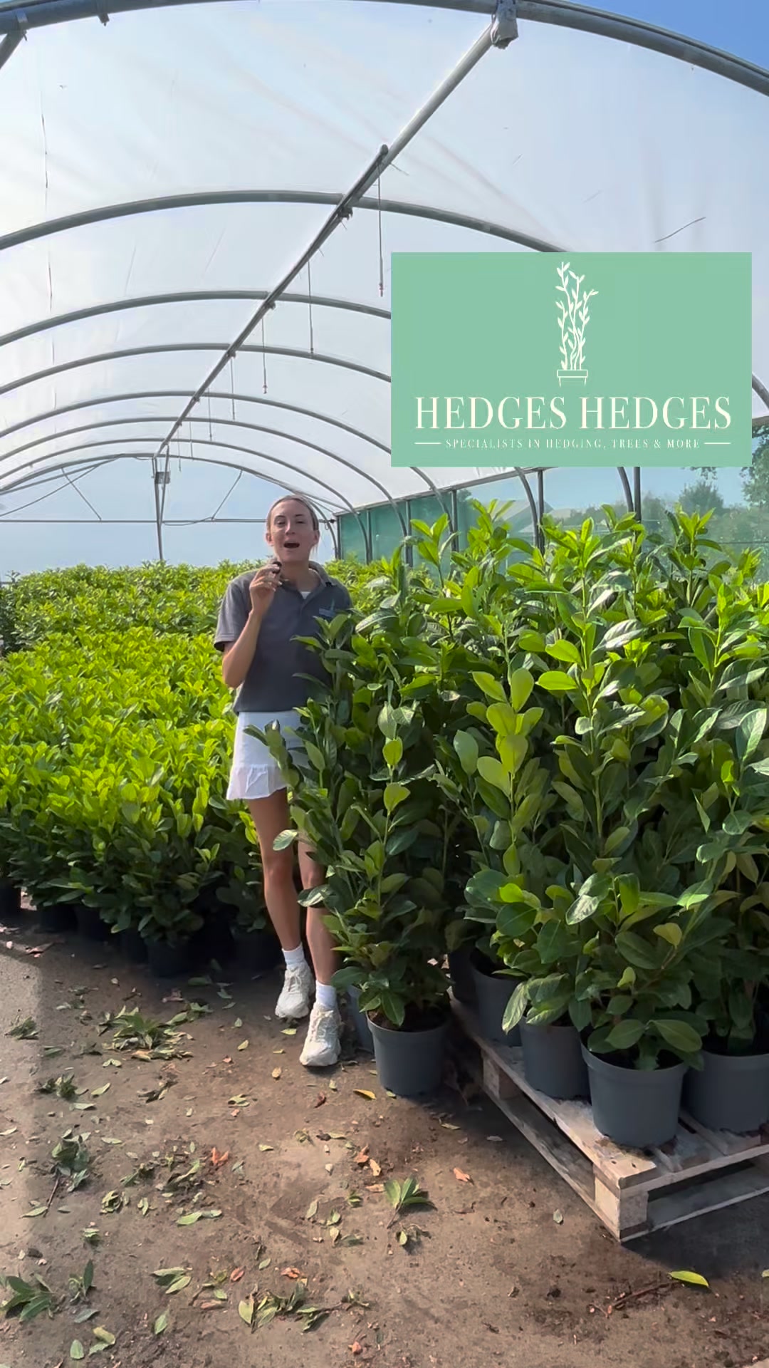 Premium Hedging Delivered Nationwide