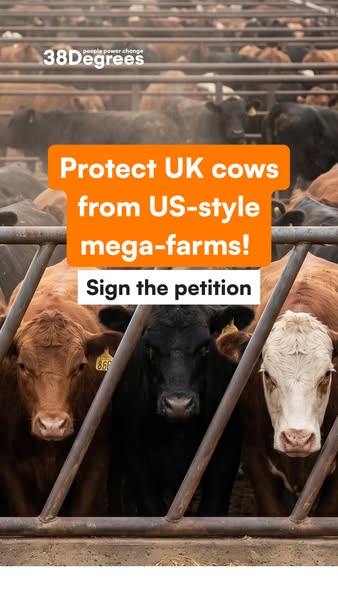 Stop Battery Cow Farming