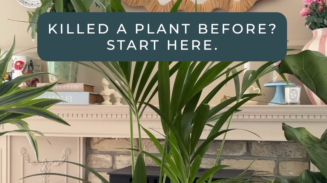 For serial plant killers