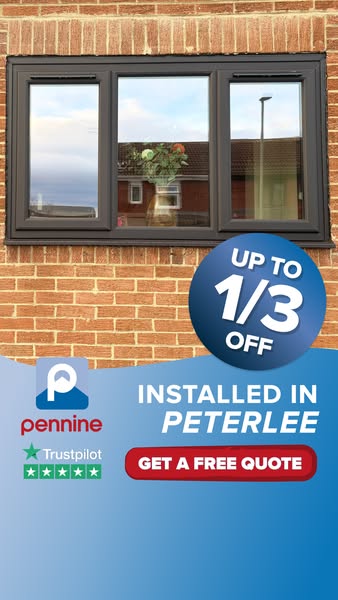 Trusted Window Experts