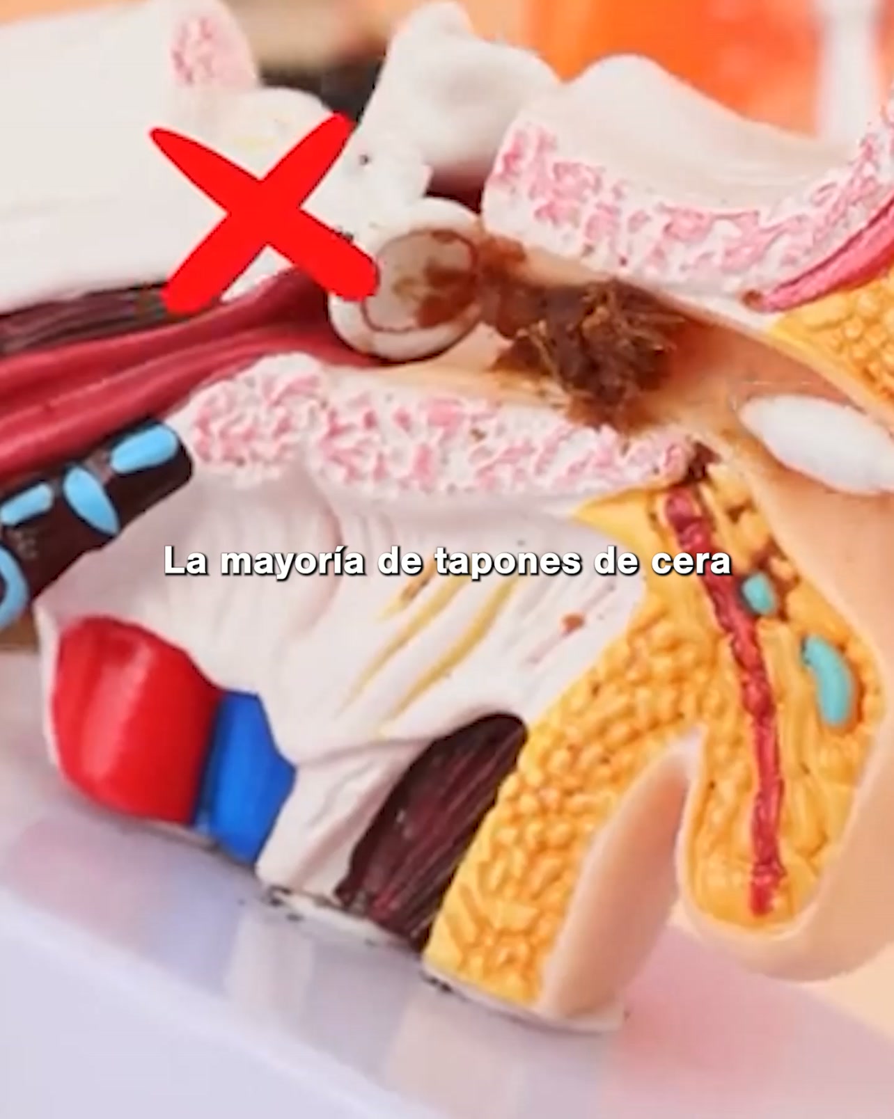 CONTRAREEMBOLSO