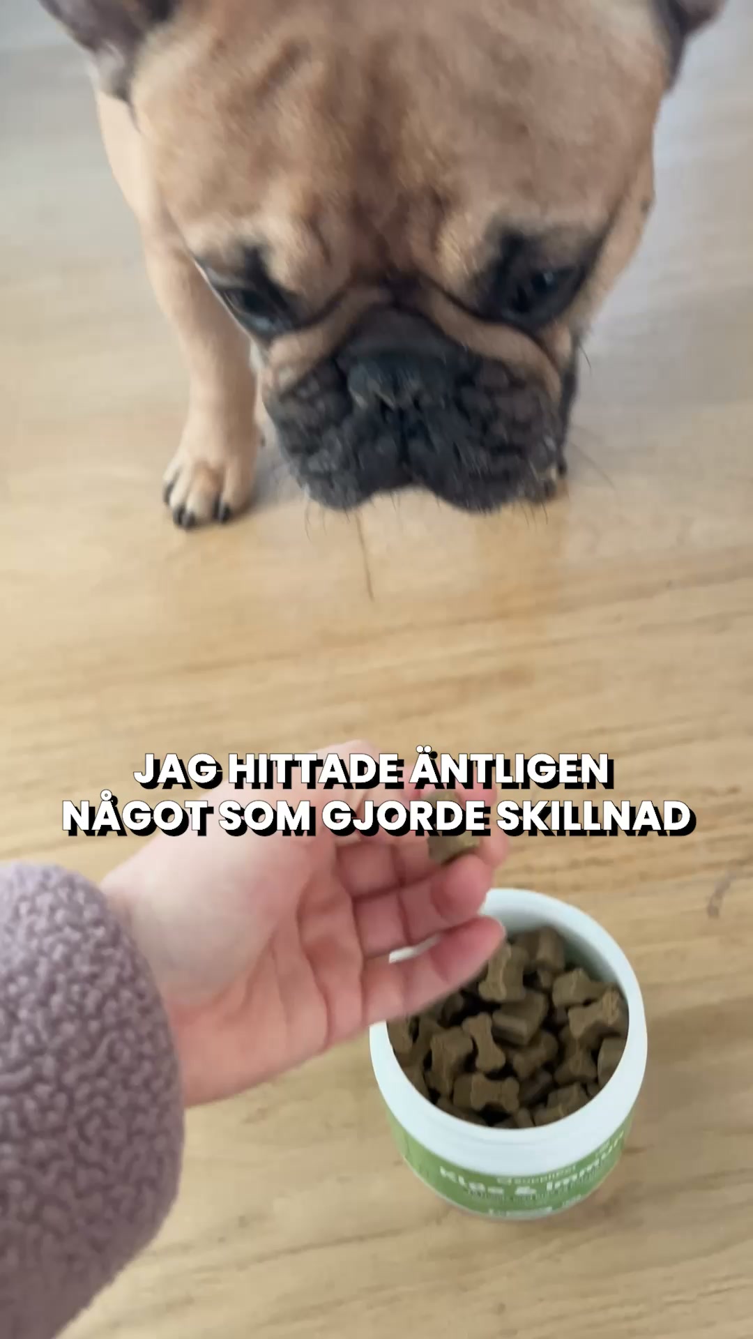 Mer Kliande och Oro När Säsongen Skiftar? Dessa Godbitar Stödjer Inifrån