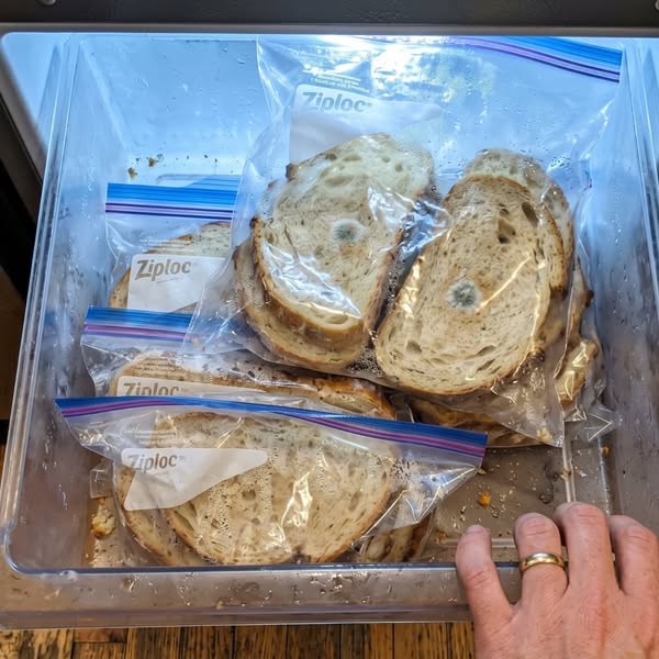 Attention bread lover ! READ THIS BEFORE you throw away another loaf!