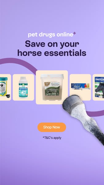15% off your first order