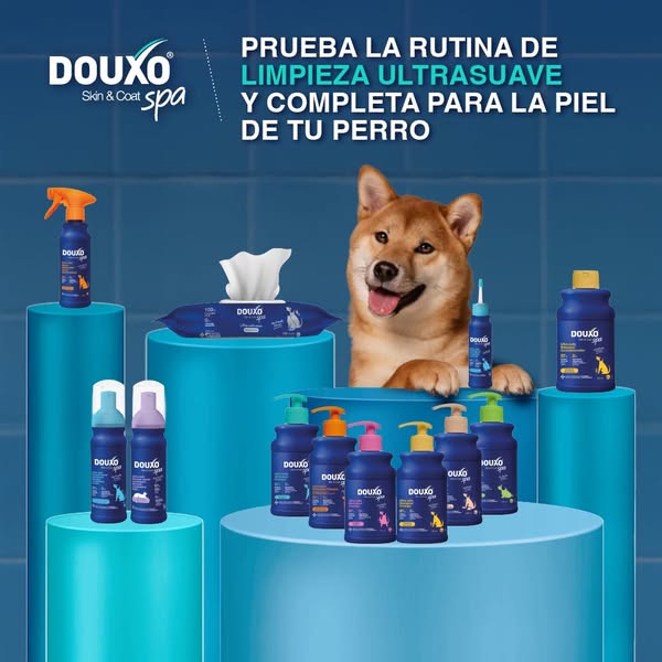 Ahora nuevo: DOUXO SPA