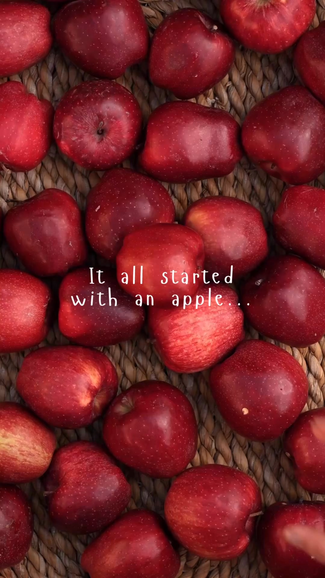 LIMITED Apple Collection - sizes selling fast!