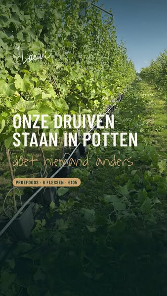 Proefdoos · 6 flessen · €105