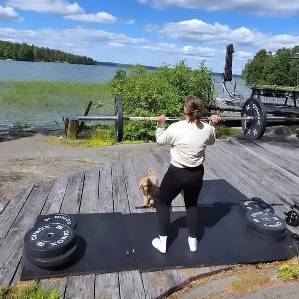 Komplett skivstångsset, 30-170 kg