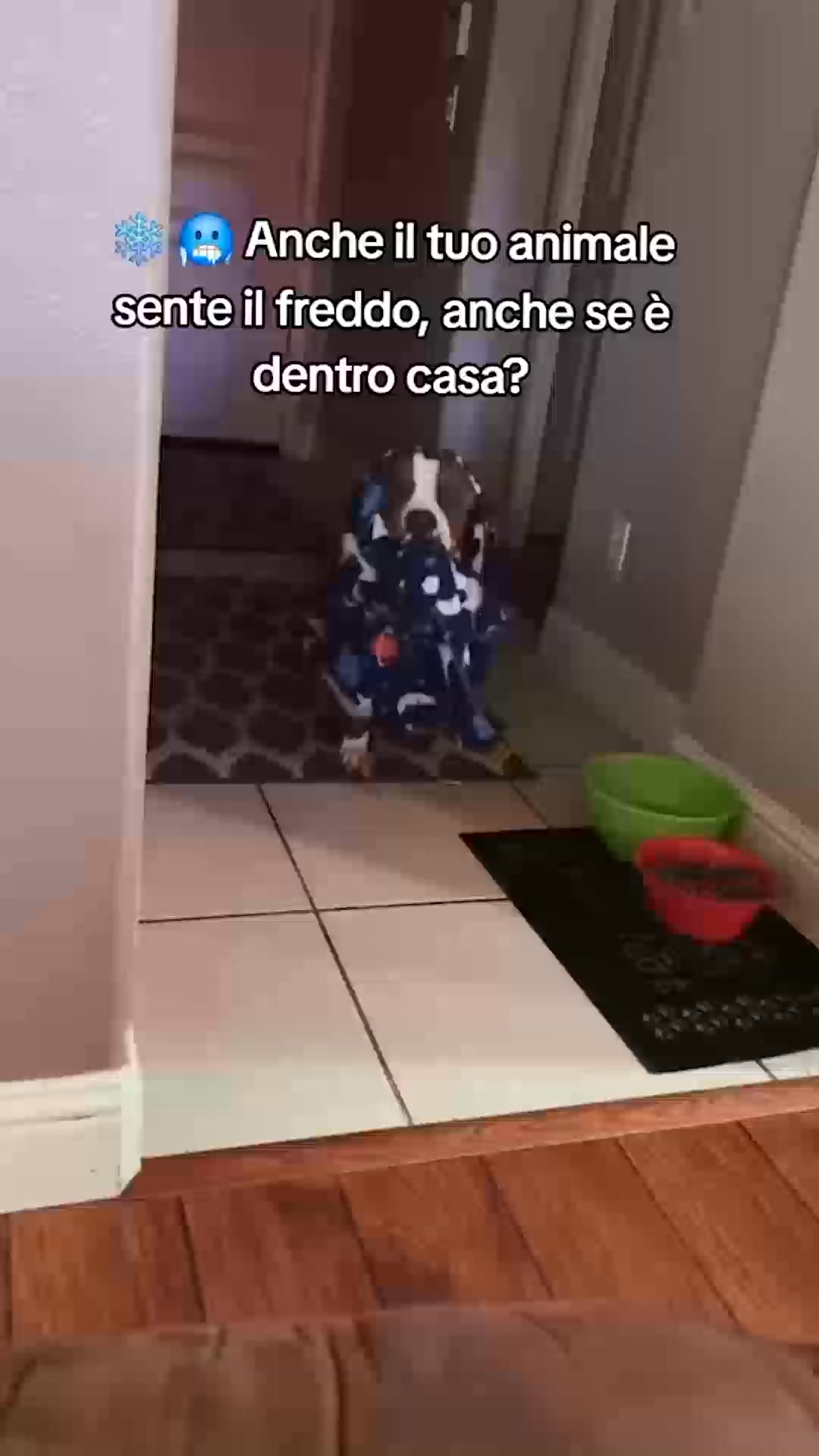 ACQUISTA 1 + 1 PRODOTTO GRATIS