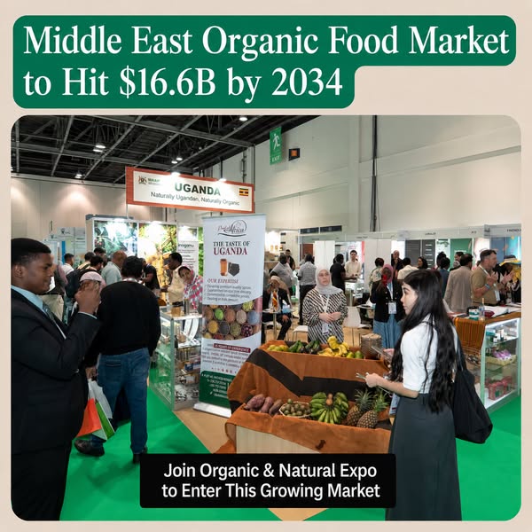 Enter the Growing MENA Market