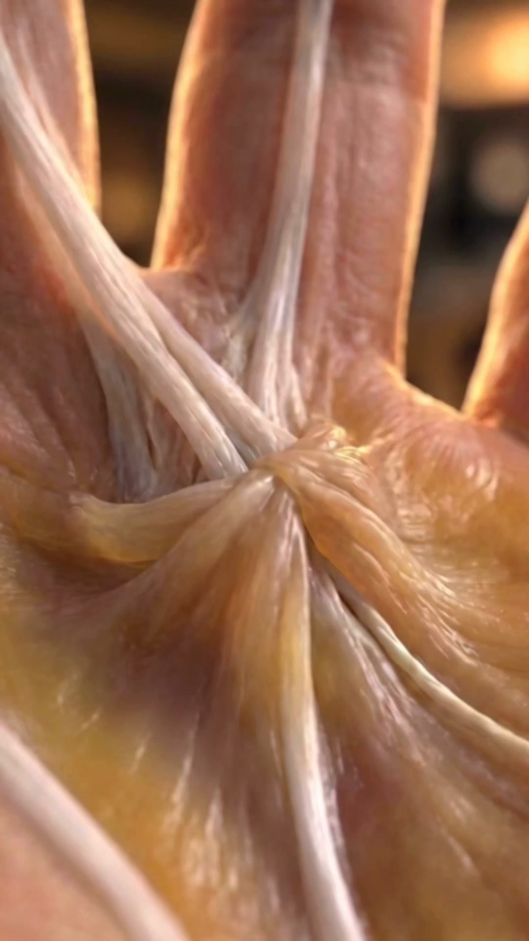 Softens Fibrotic Tissue In 15 Min/Day