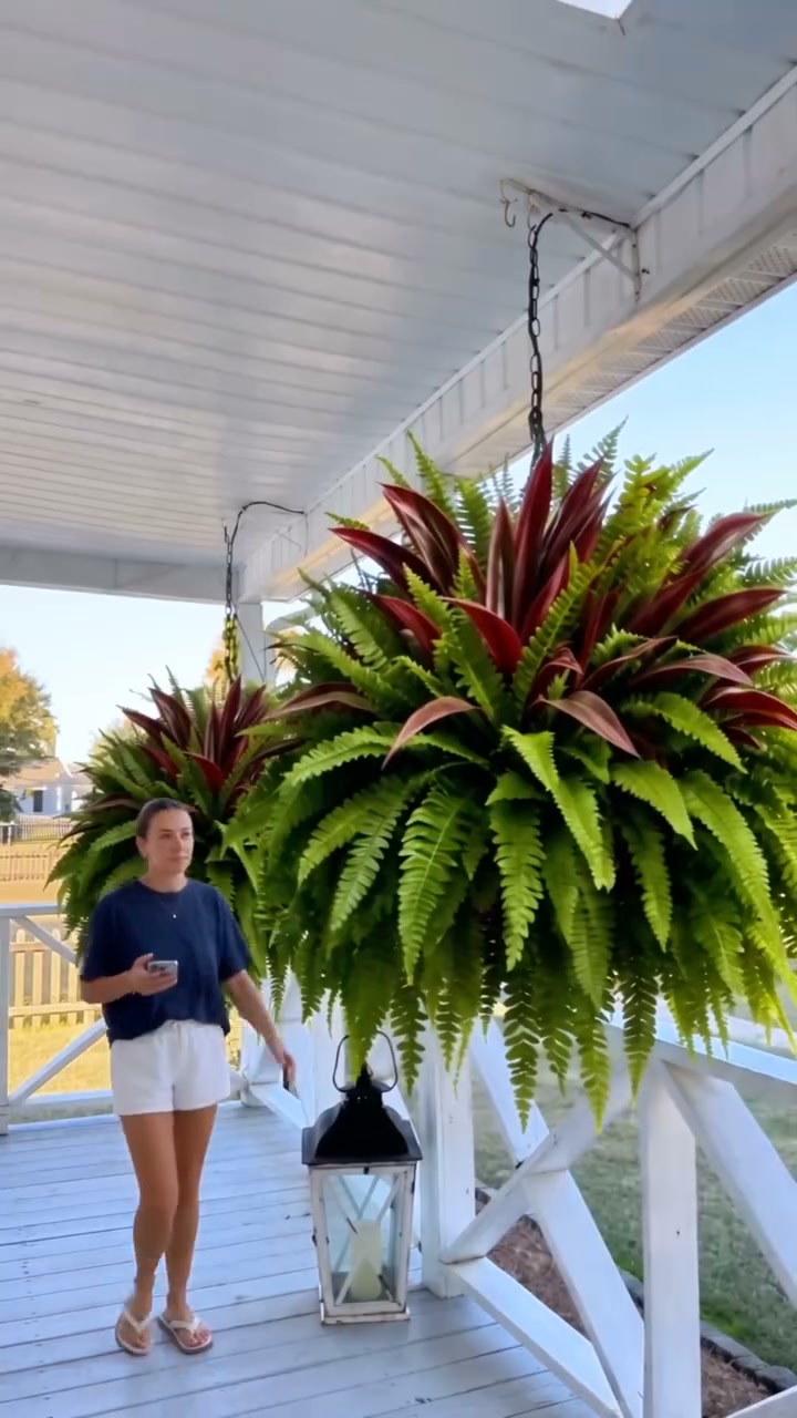 UV-Resistant Artificial Fern & Red Dracaena Decorative Plants