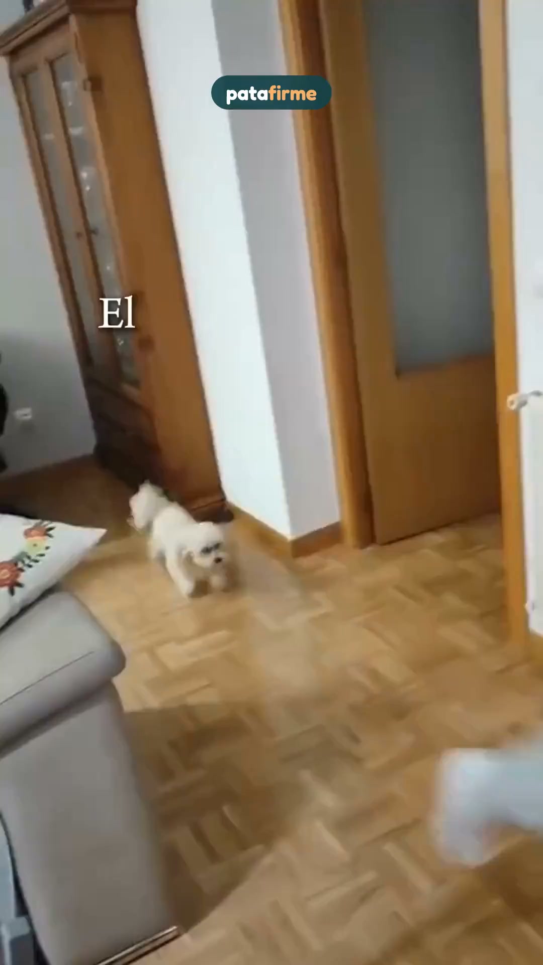 Que el suelo liso no le frene