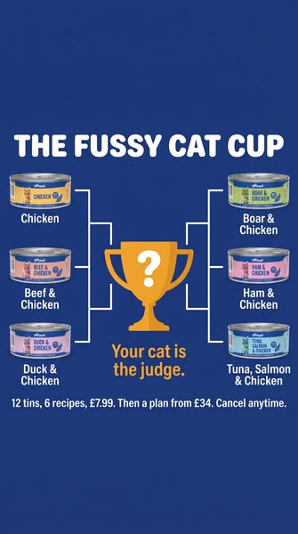 Only £7.99 for 12 Tins!