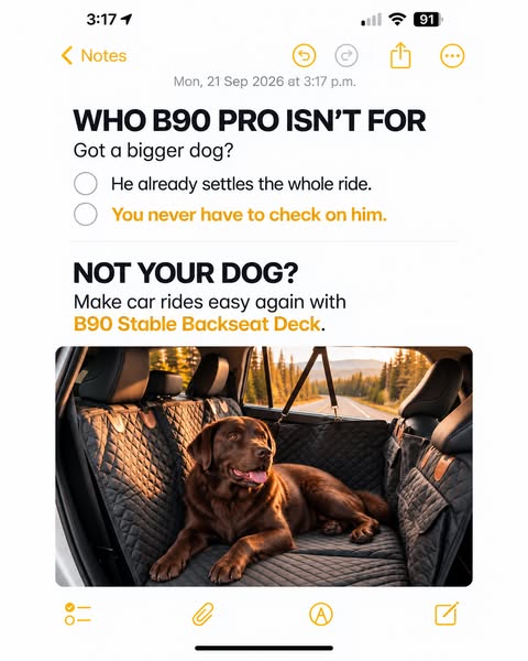 Upgrade Your Dog’s Seat